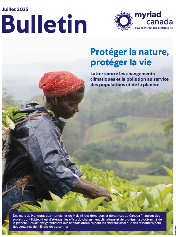 Bulletin – Juillet 2025