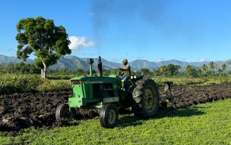 Strengthening Agriculture in Haiti