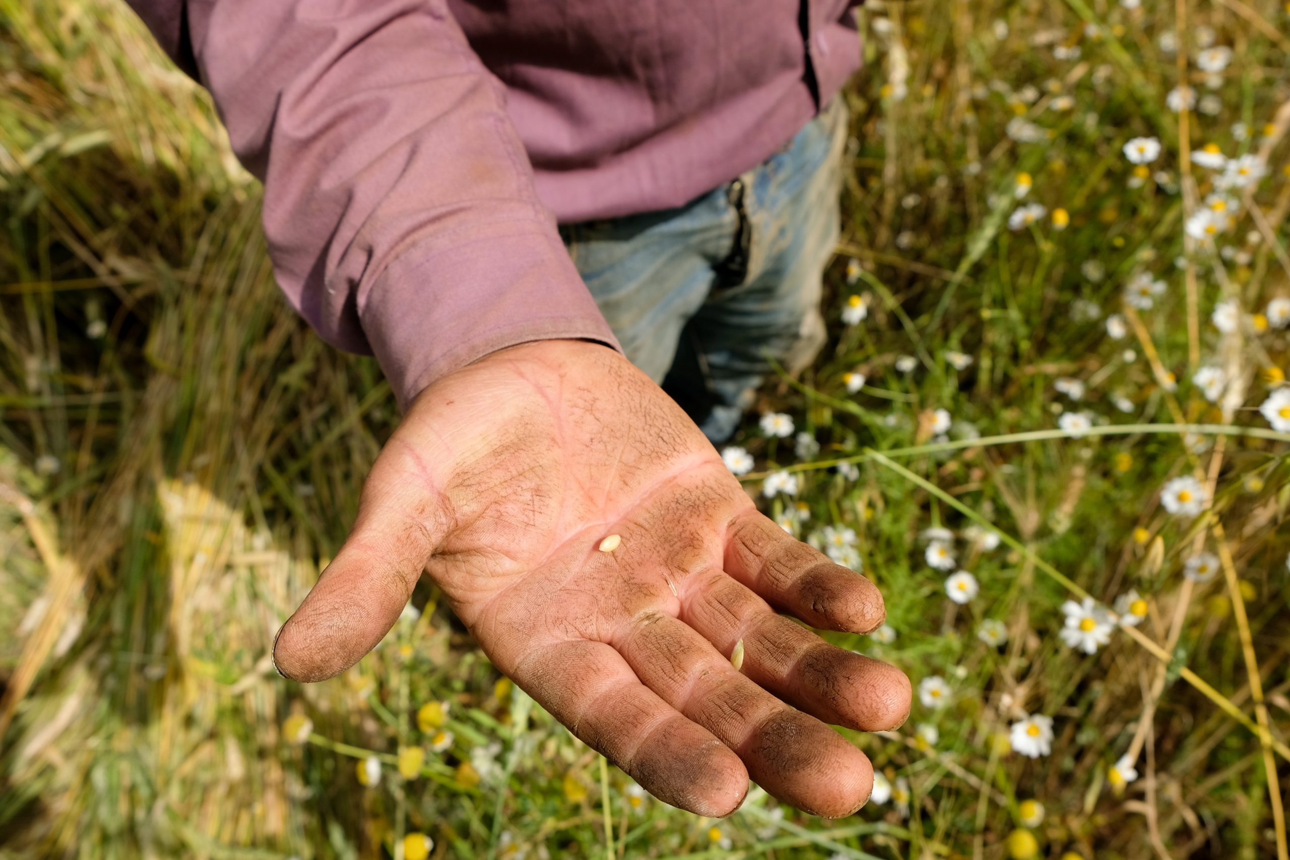 Fonds ten452 – Aide pour le Liban