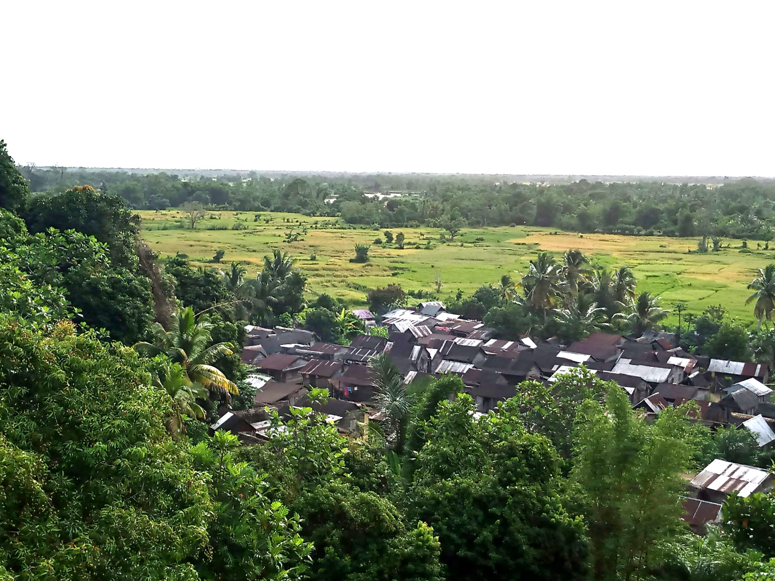 Subsistance durable des communautés de la forêt de Farankaraina à Madagascar