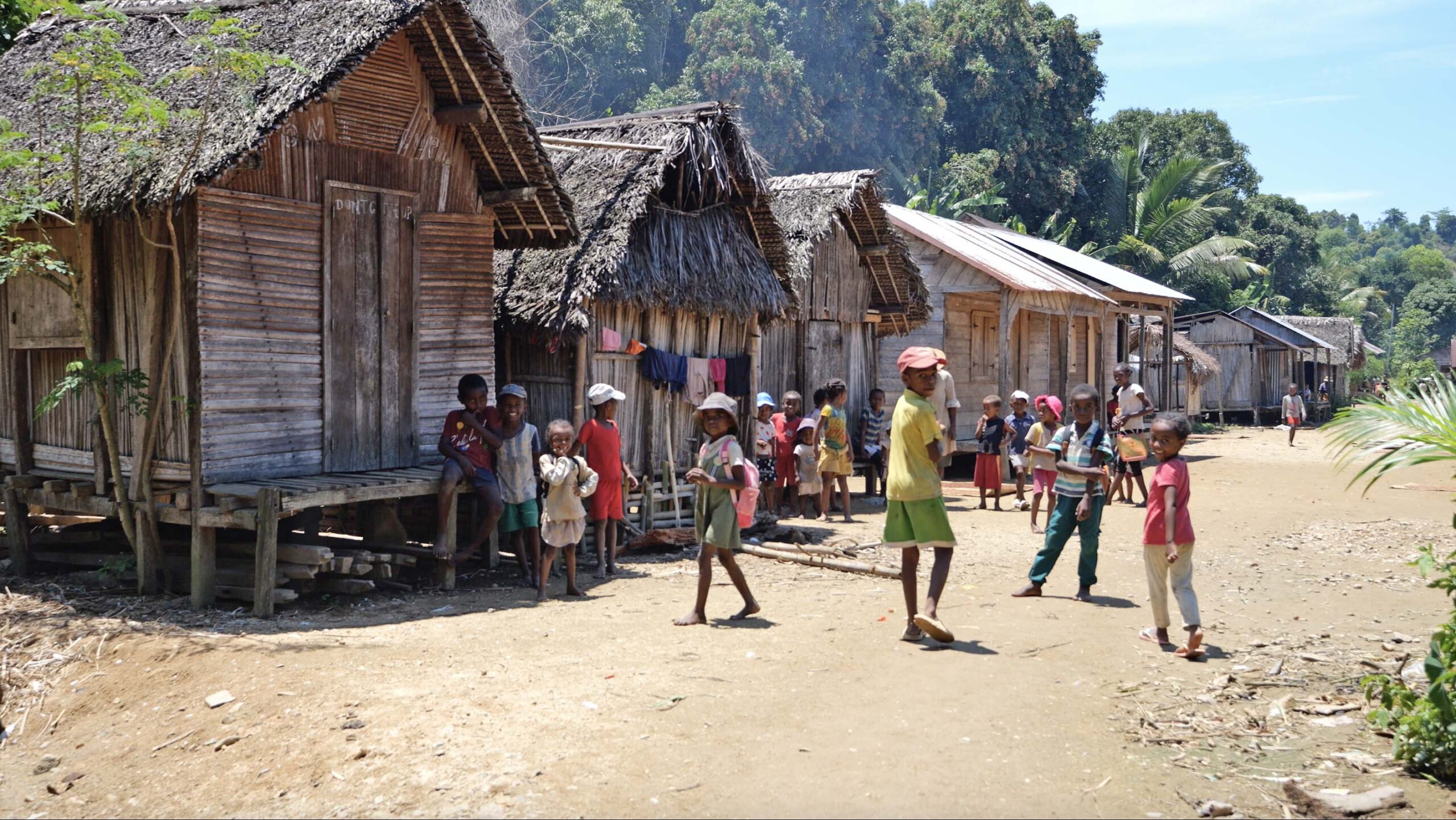 Subsistance durable des communautés de la forêt de Farankaraina à Madagascar